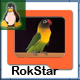 RokStar avatar