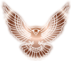 L'avatar di Falconer